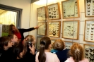 Pasaulio pažinimo pamoka VU Zoologijos muziejuje