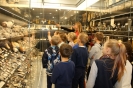 Pasaulio pažinimo pamoka VU Zoologijos muziejuje