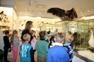 Pasaulio pažinimo pamoka VU Zoologijos muziejuje