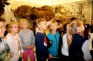 Pasaulio pažinimo pamoka VU Zoologijos muziejuje
